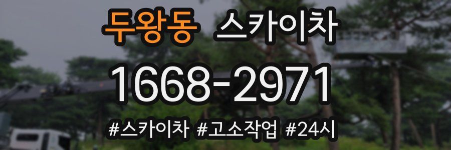두왕동 스카이차
