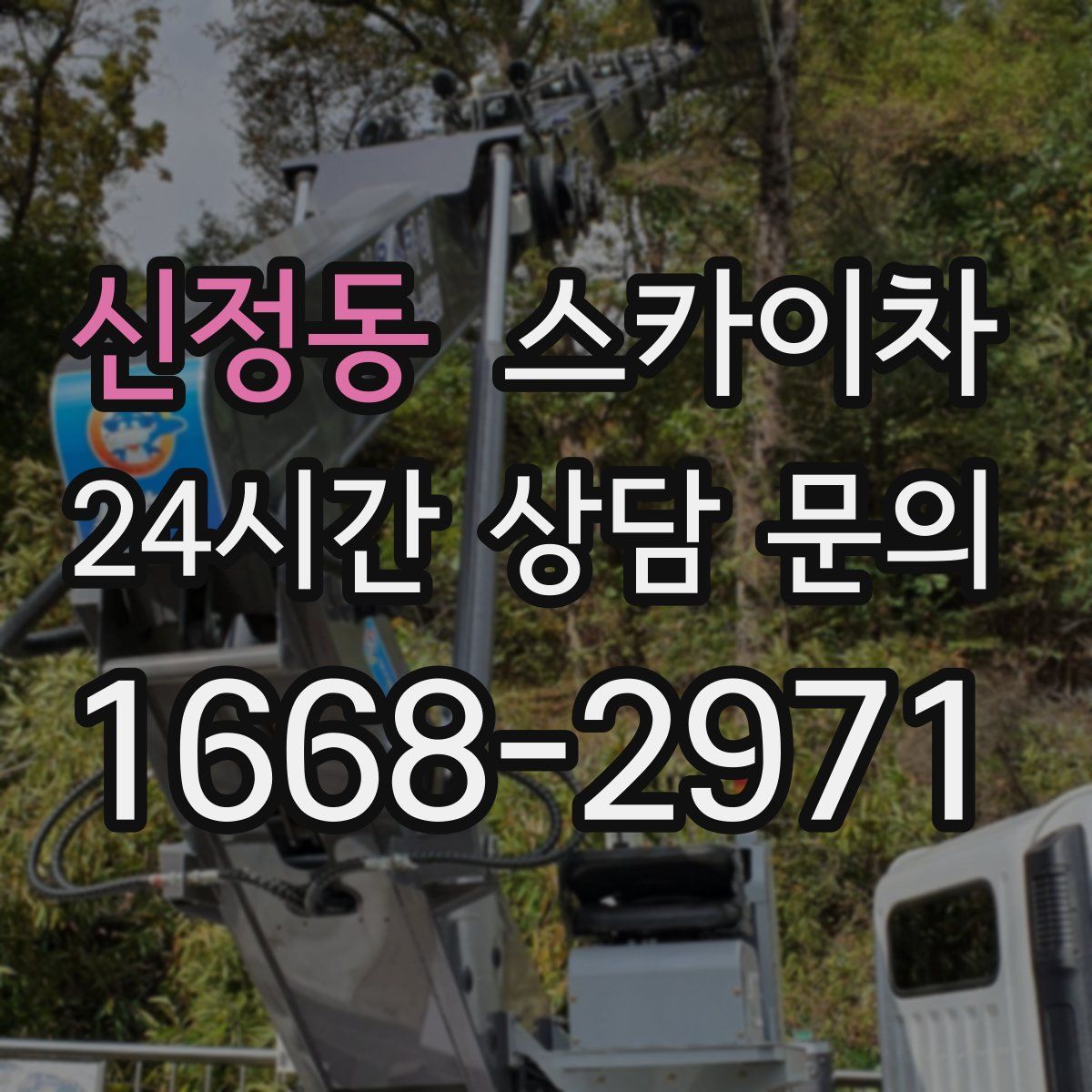 신정동 스카이차