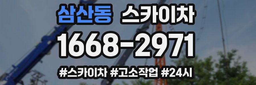 삼산동 스카이차