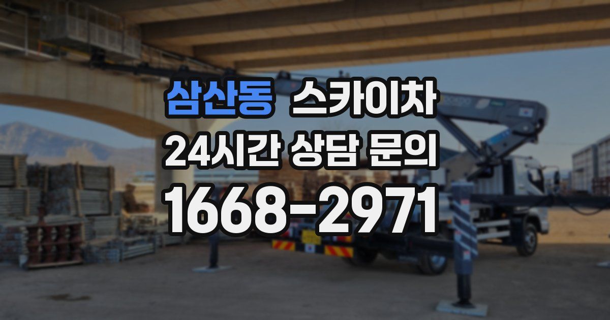 삼산동 스카이차