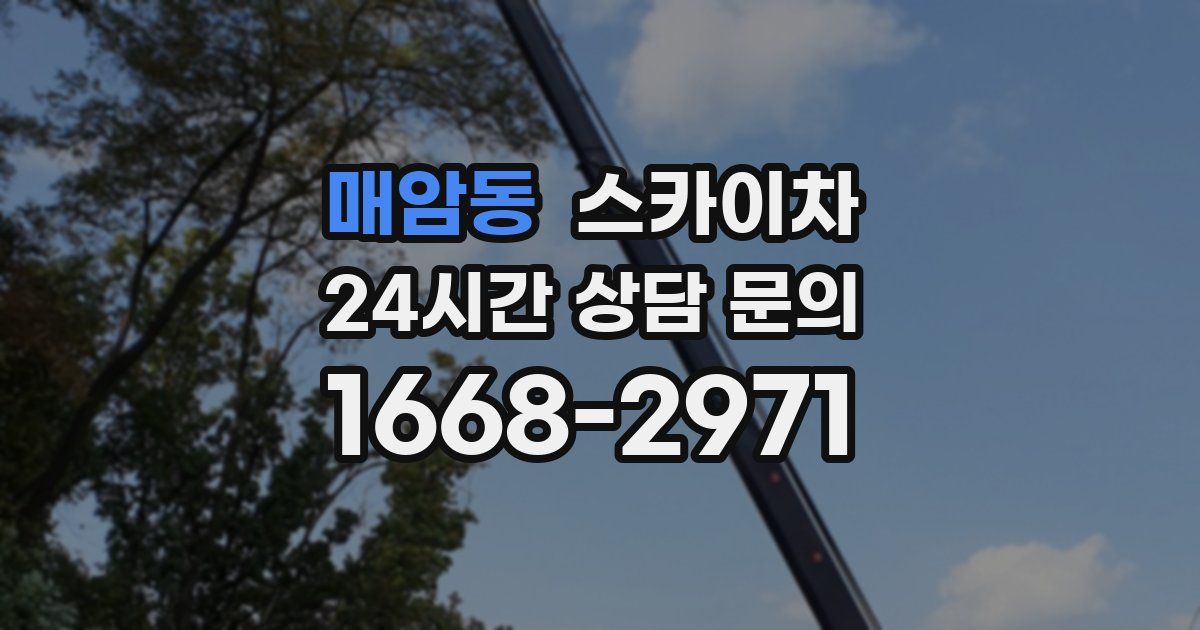 매암동 스카이차