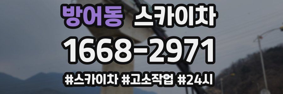 방어동 스카이차