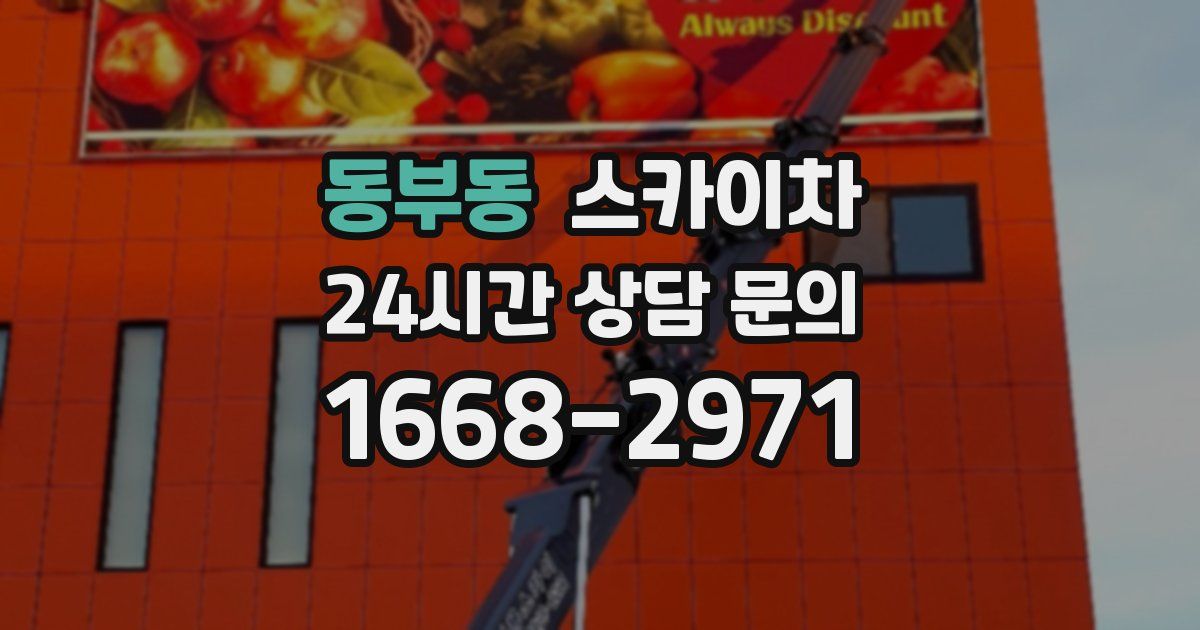 동부동 스카이차