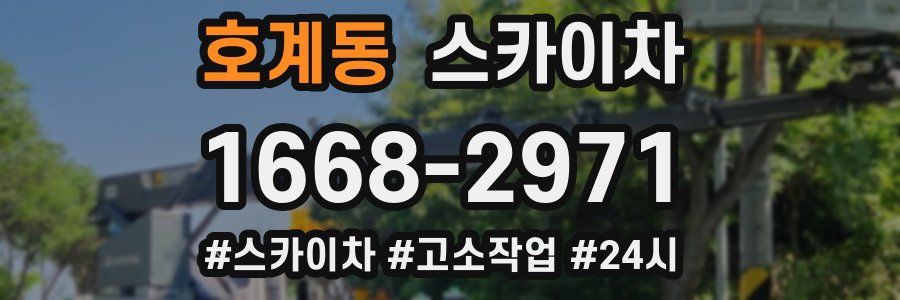 호계동 스카이차