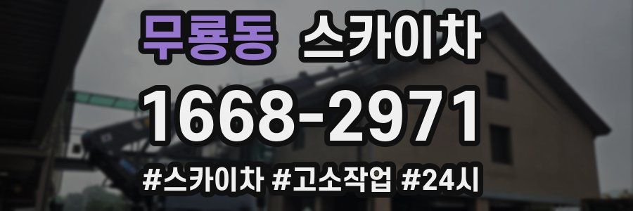 무룡동 스카이차