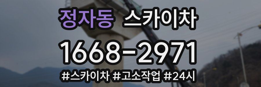 정자동 스카이차