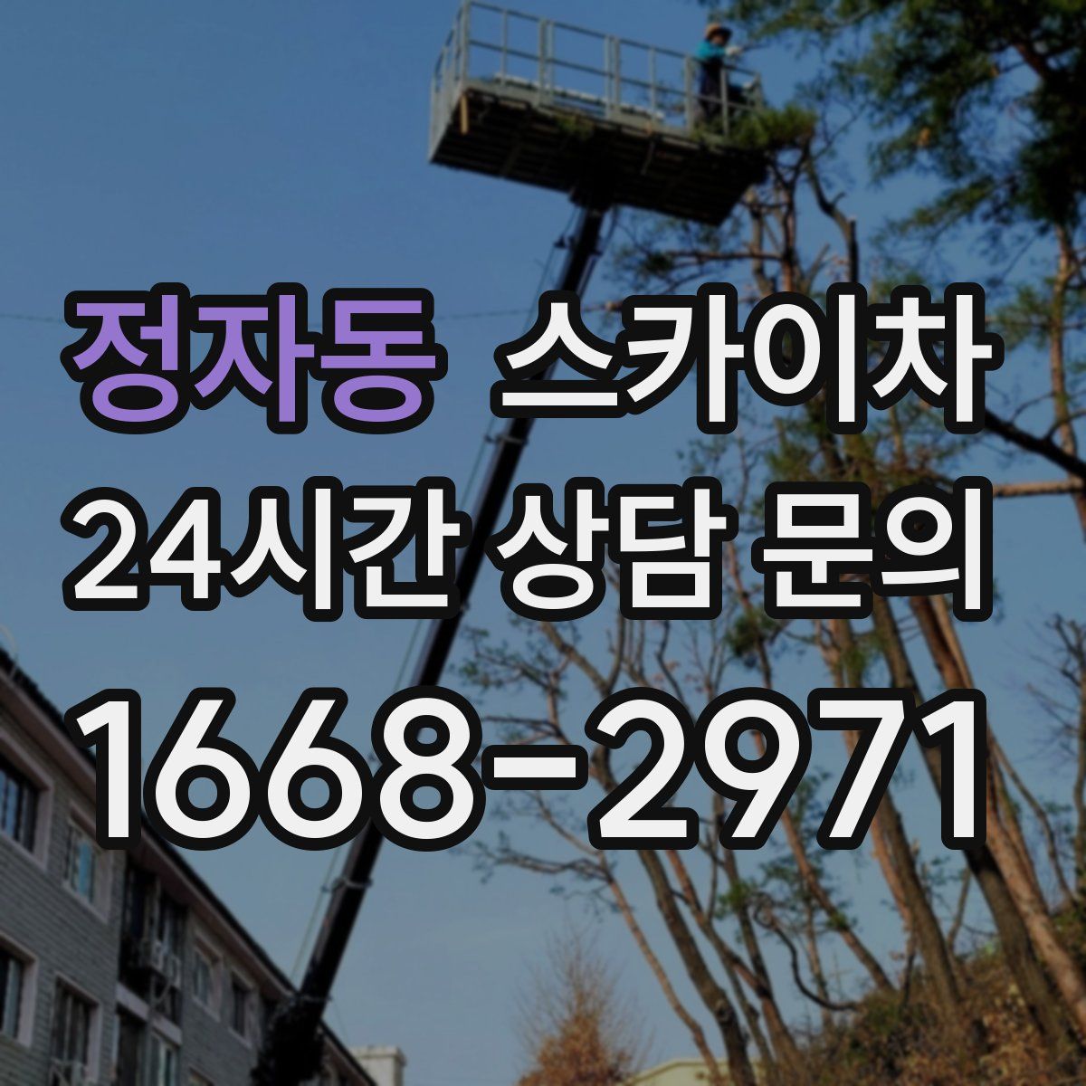 정자동 스카이차