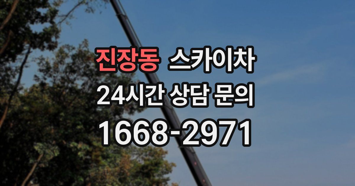진장동 스카이차