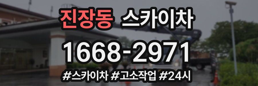 진장동 스카이차