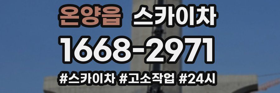 온양읍 스카이차