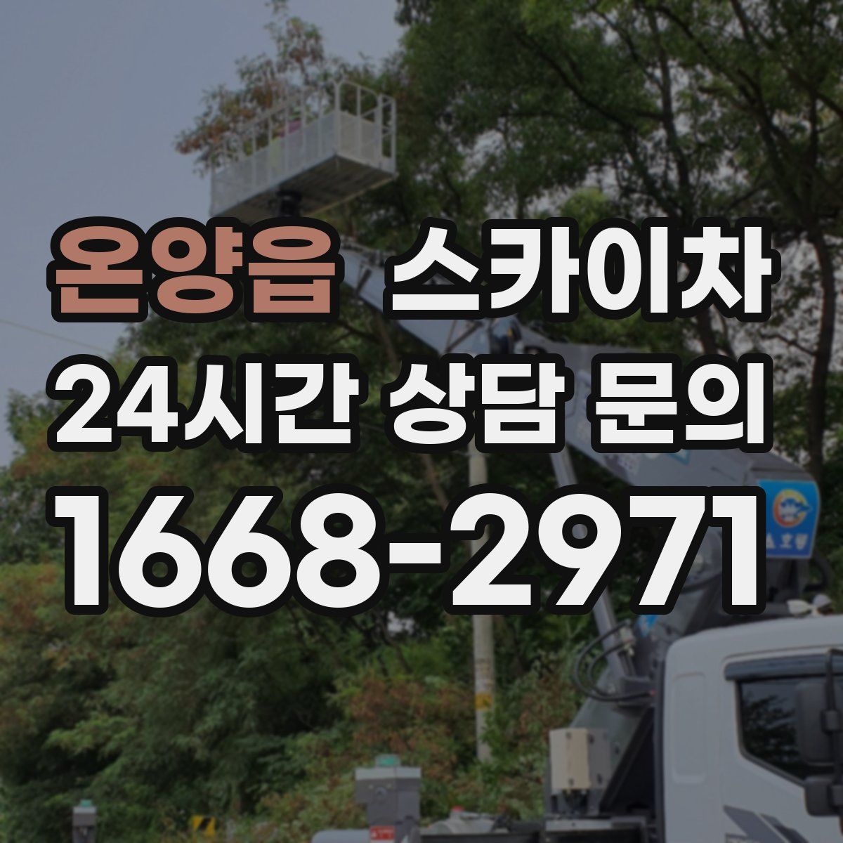 온양읍 스카이차