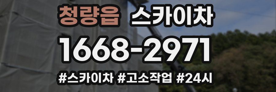 청량읍 스카이차
