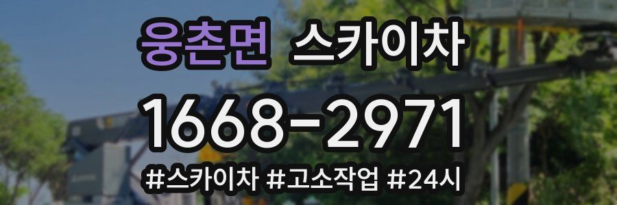 웅촌면 스카이차