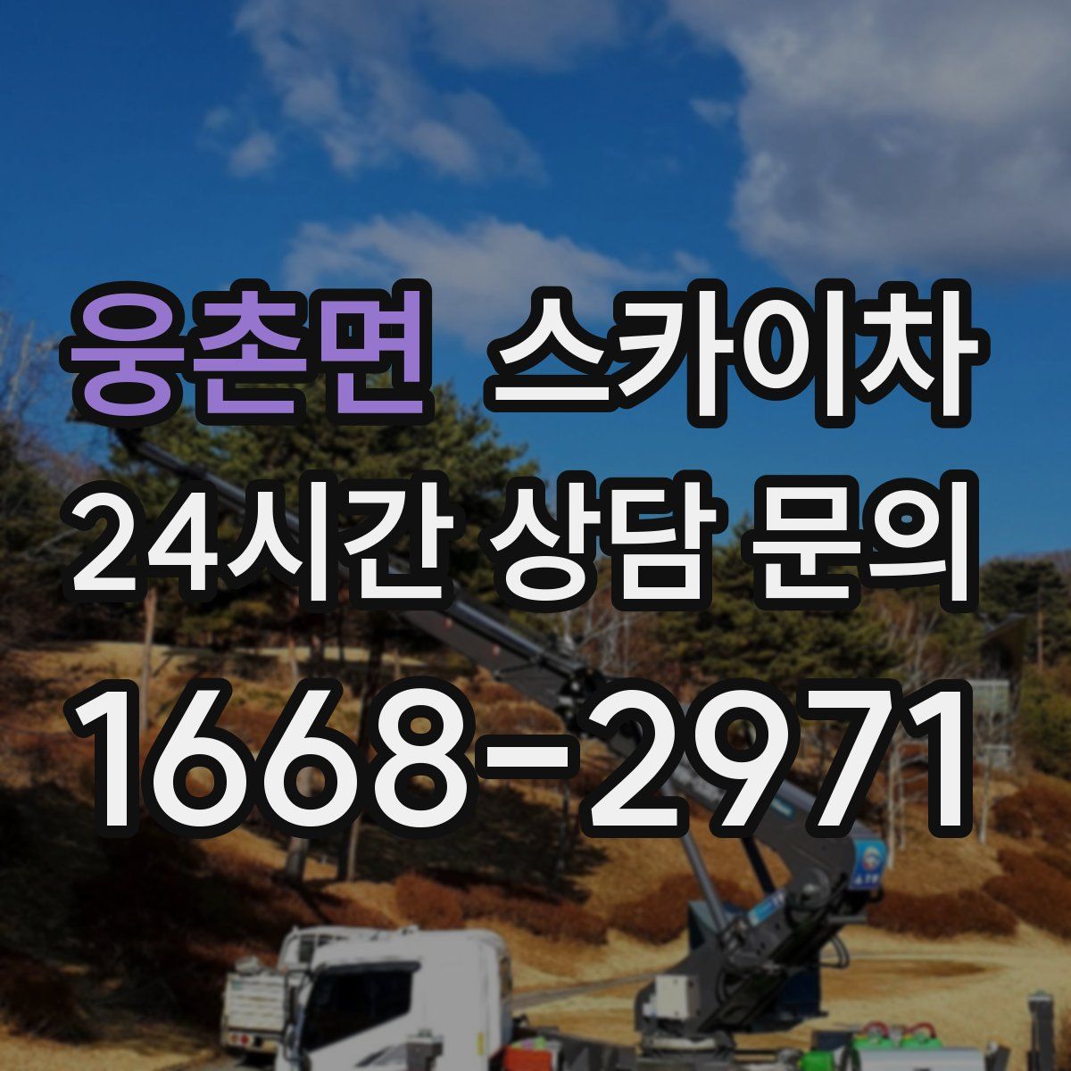 웅촌면 스카이차