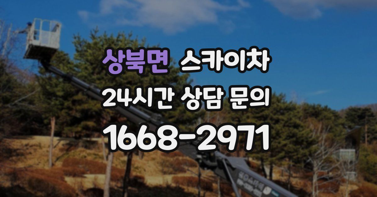 상북면 스카이차