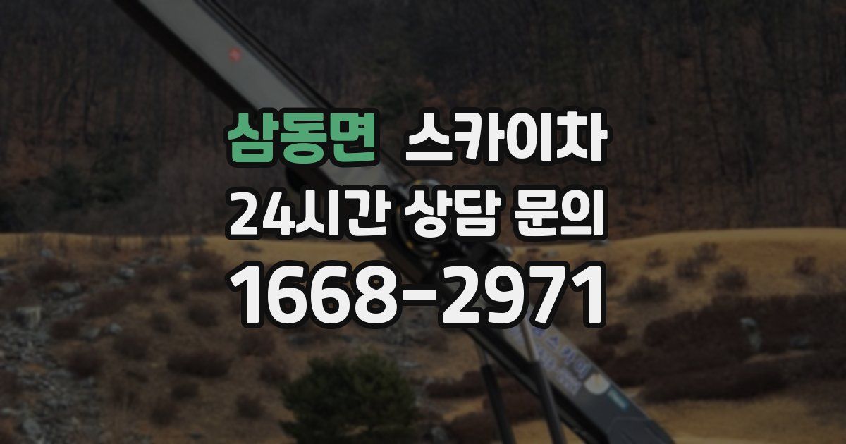 삼동면 스카이차