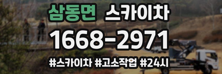 삼동면 스카이차