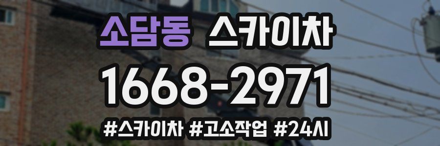 소담동 스카이차