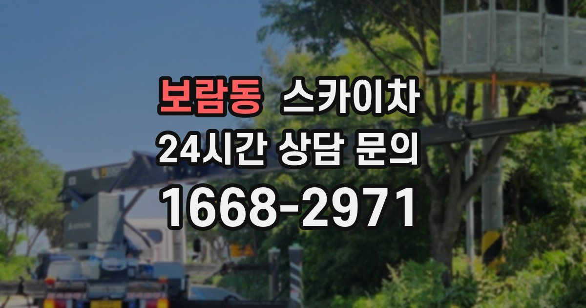 보람동 스카이차