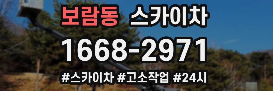 보람동 스카이차