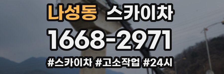 나성동 스카이차