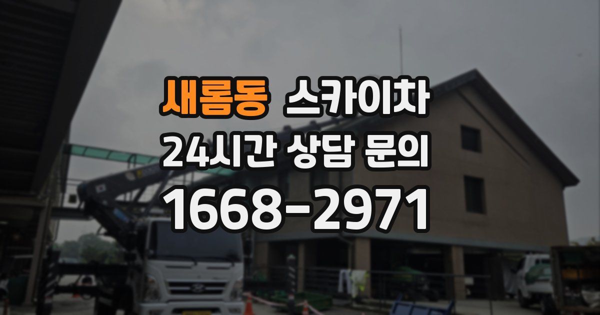 새롬동 스카이차