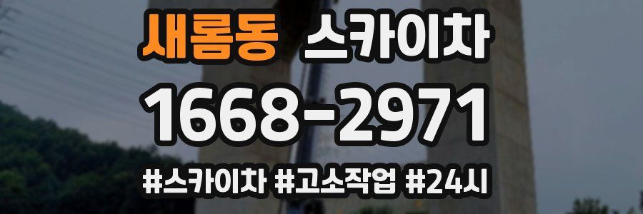 새롬동 스카이차