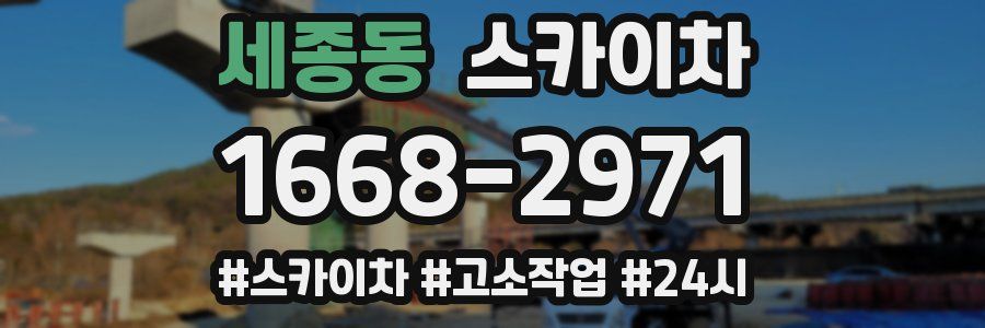 세종동 스카이차