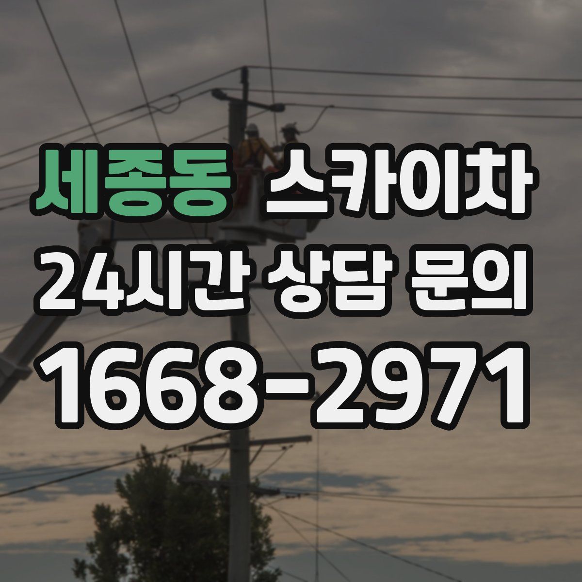 세종동 스카이차