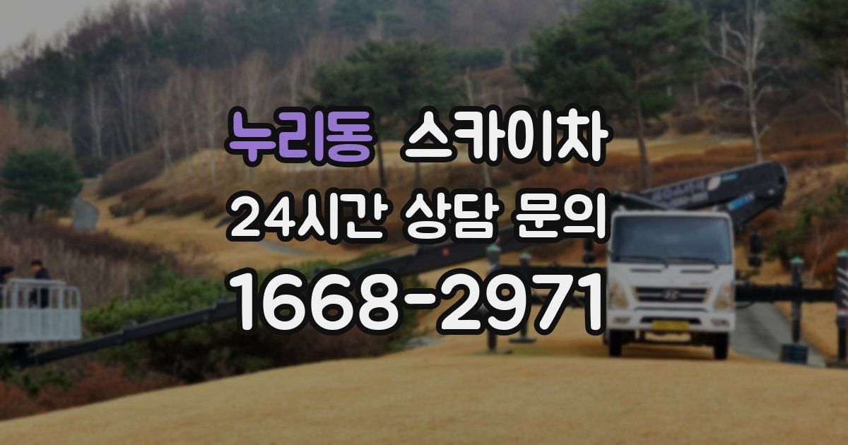 누리동 스카이차