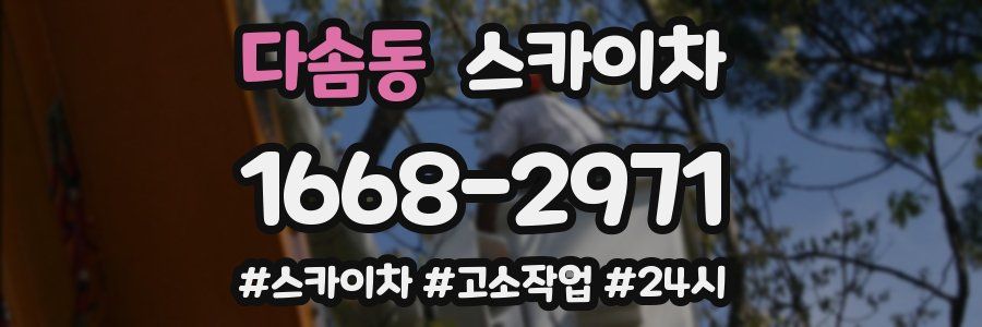 다솜동 스카이차