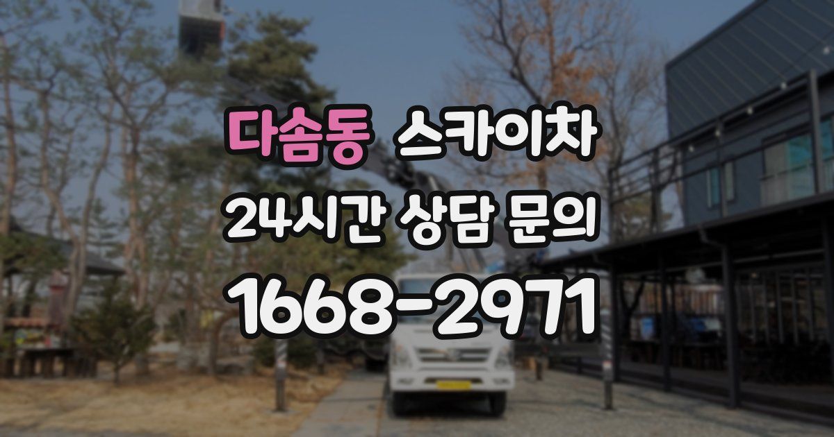 다솜동 스카이차