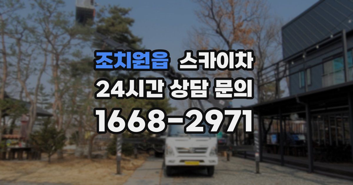 조치원읍 스카이차