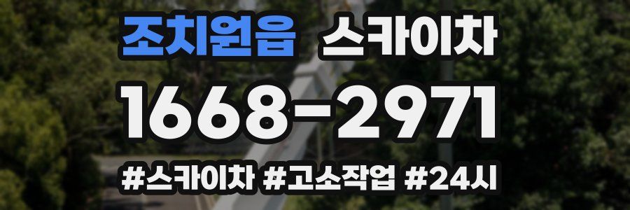 조치원읍 스카이차