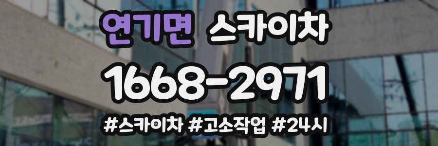 연기면 스카이차