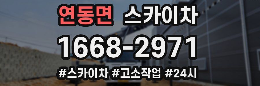 연동면 스카이차