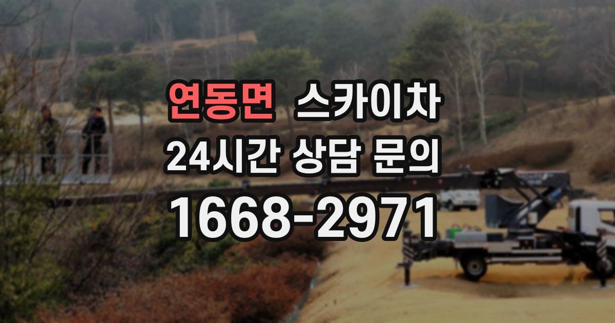연동면 스카이차