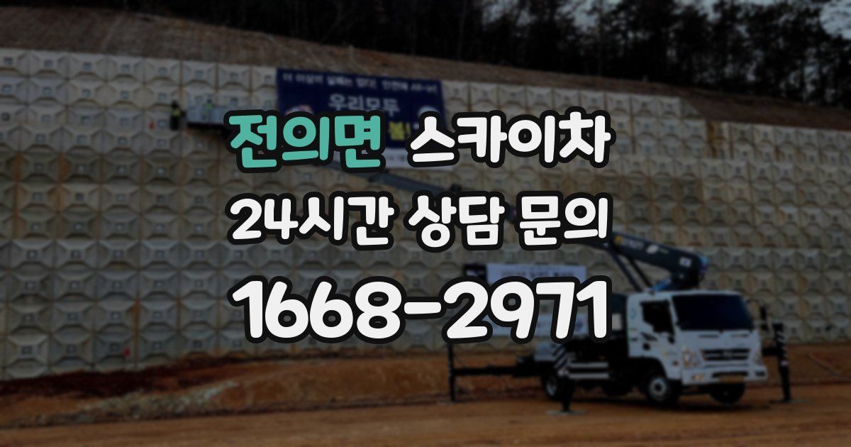 전의면 스카이차