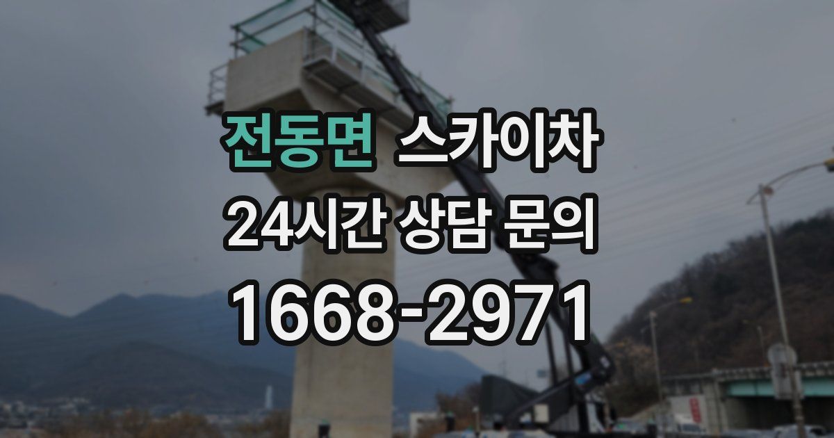 전동면 스카이차