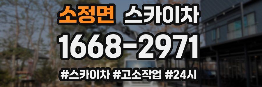 소정면 스카이차