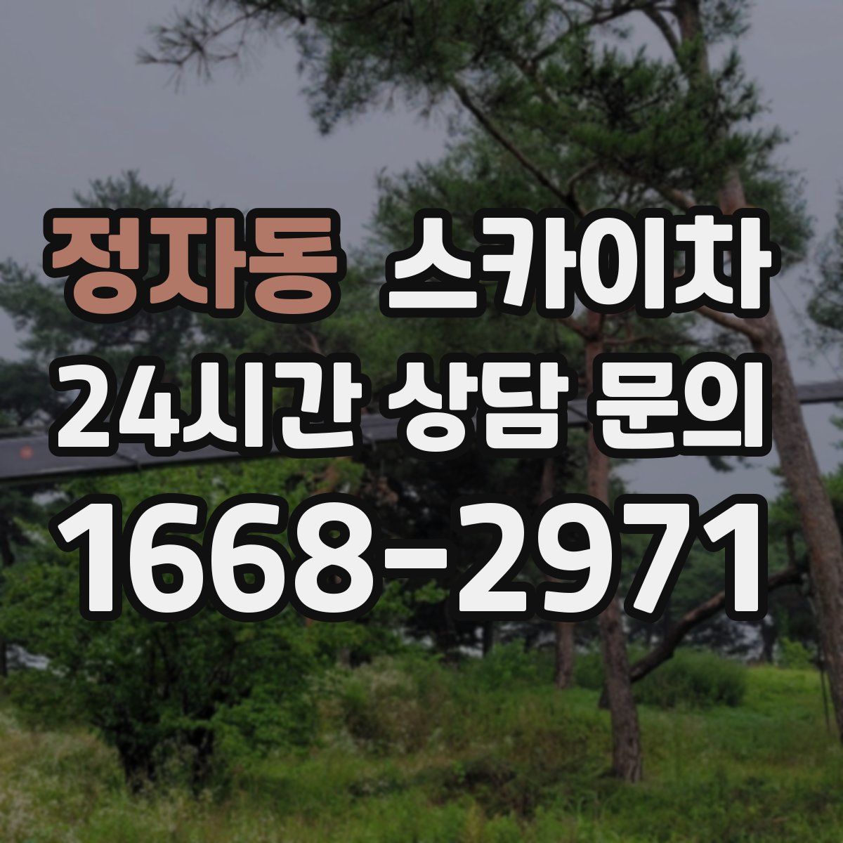 정자동 스카이차