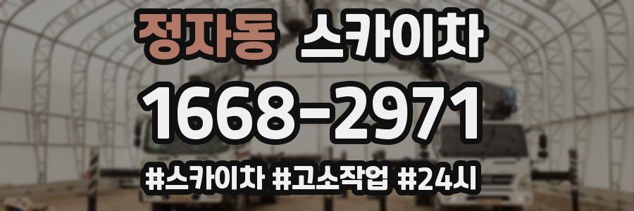 정자동 스카이차