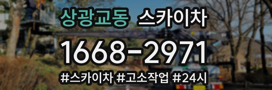 상광교동 스카이차
