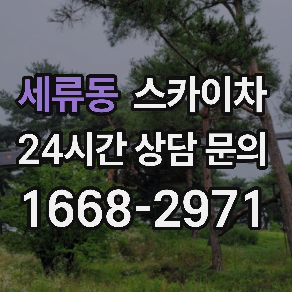 세류동 스카이차 전봇대 인접 현장 안전 거리 확보