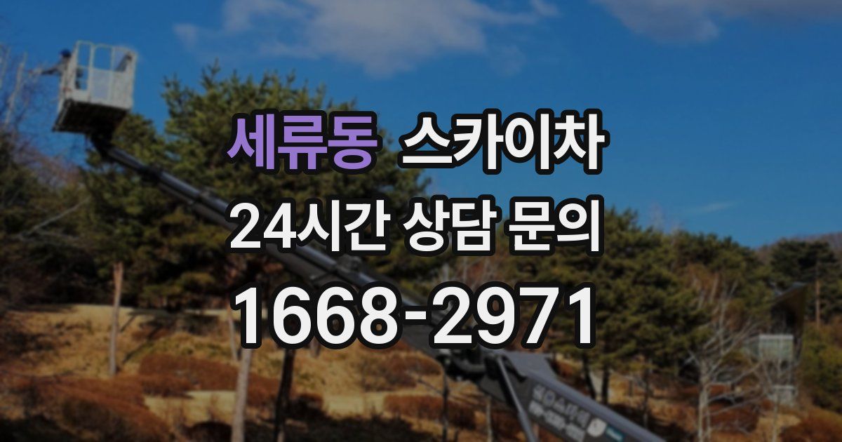 세류동 스카이차