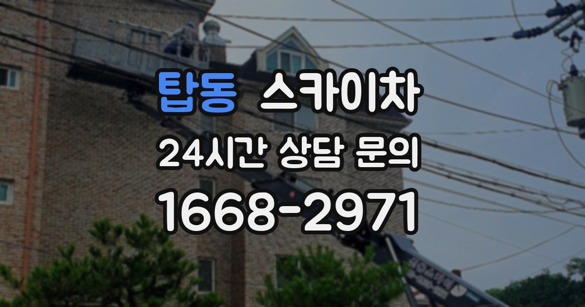 탑동 스카이차