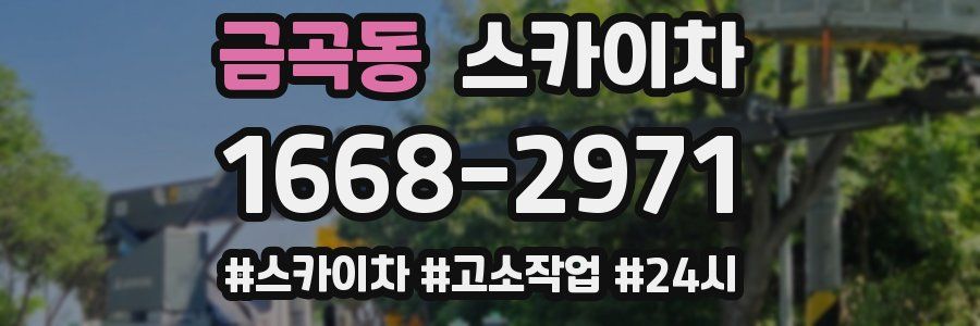 금곡동 스카이차
