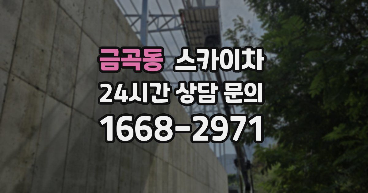금곡동 스카이차