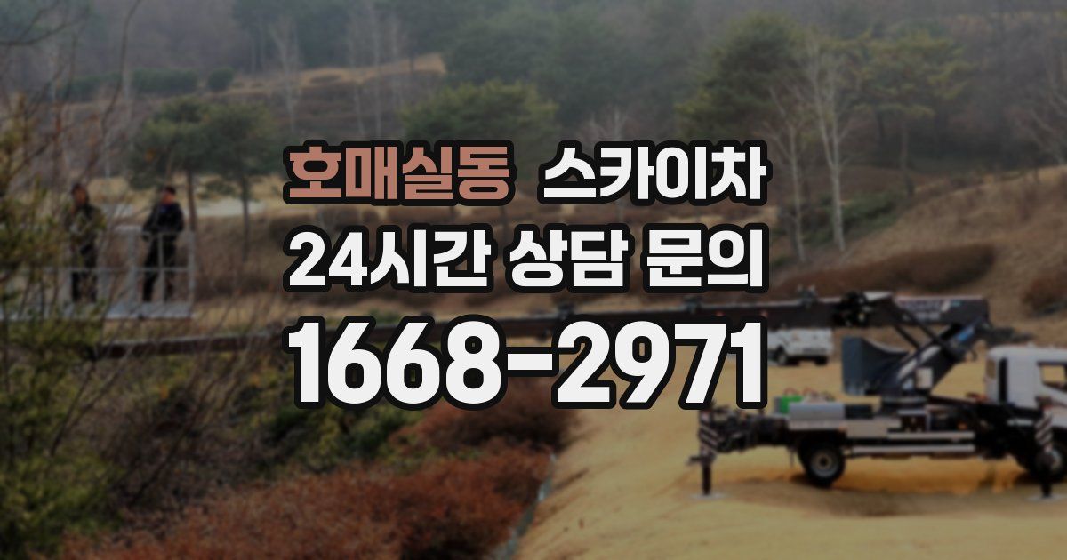 호매실동 스카이차