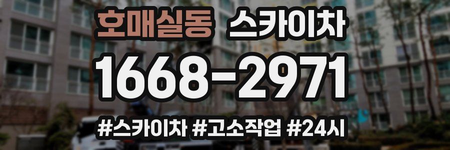 호매실동 스카이차